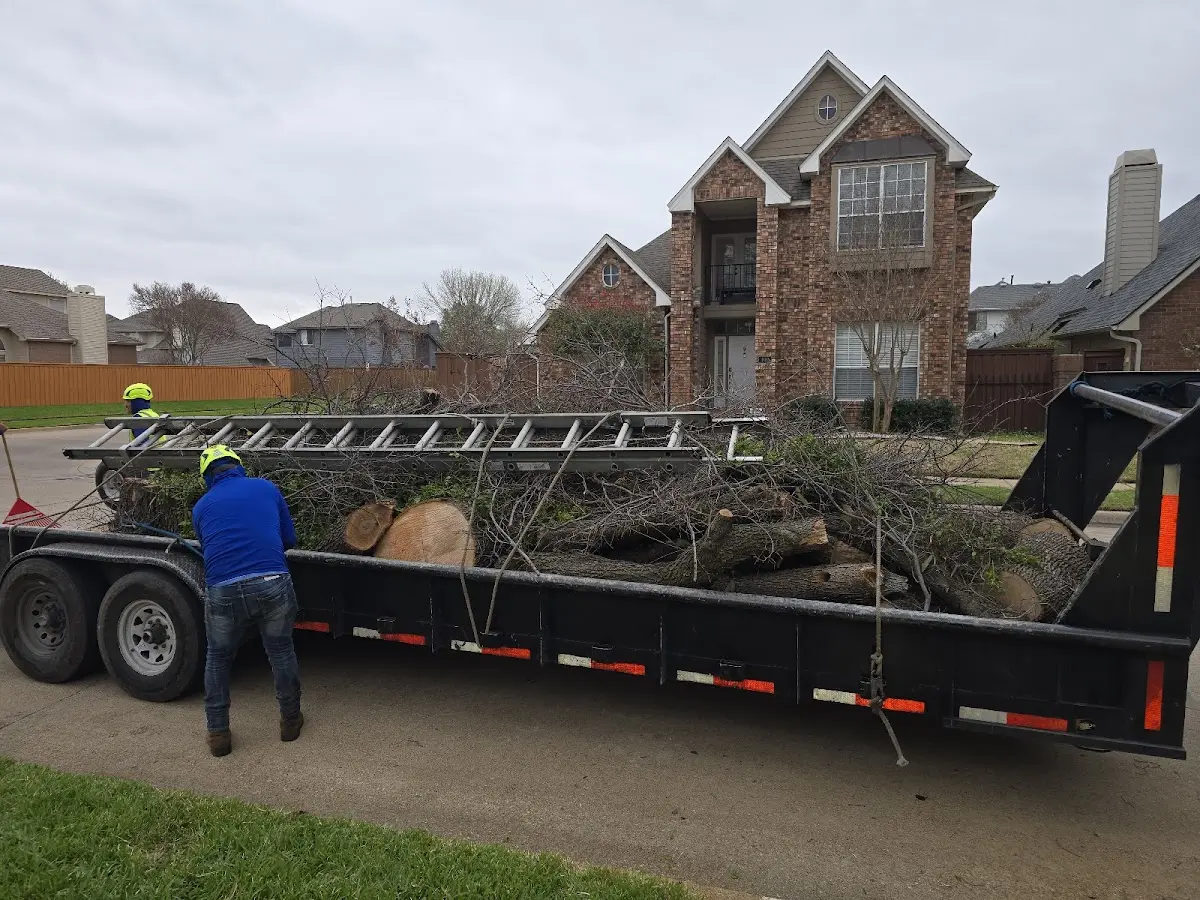 Expert Tree Fertilization with proper safety equipment in Reeds Spring